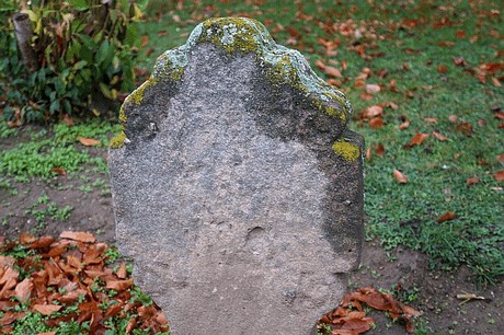 Merzenich