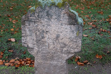 Merzenich