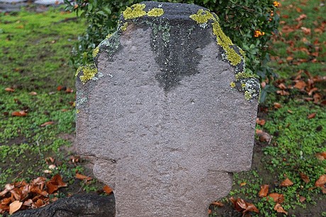 Merzenich
