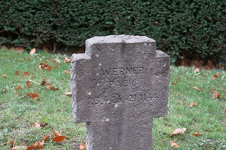 Merzenich