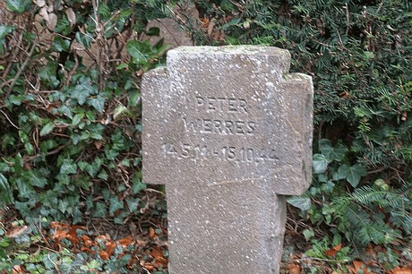 Merzenich