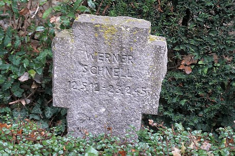 Merzenich