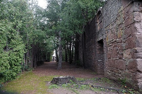 Merzenich