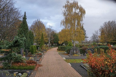 Merzenich