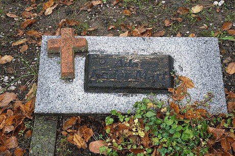 Merzenich
