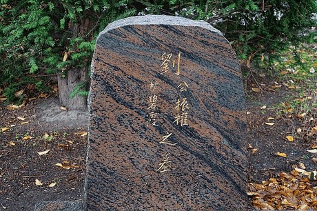 Merzenich