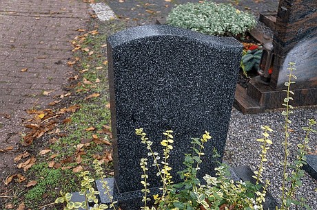 Merzenich