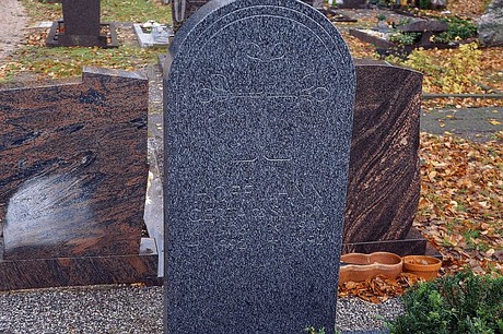 Merzenich