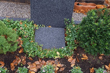 Merzenich