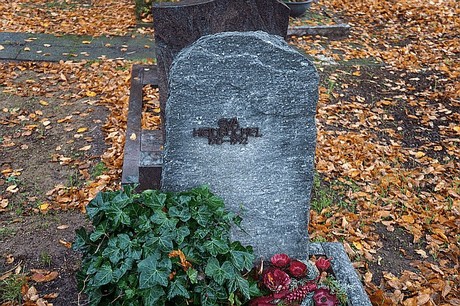 Merzenich