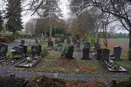 Merzenich