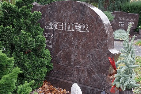 Merzenich