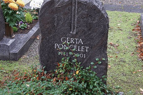 Merzenich