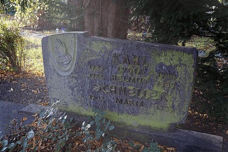 Merzenich