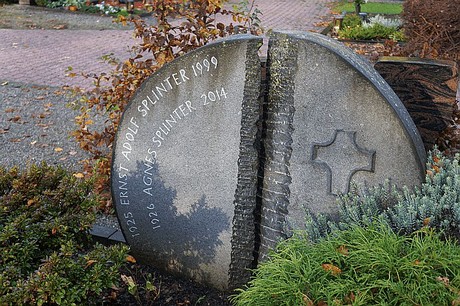 Merzenich