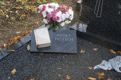 Merzenich