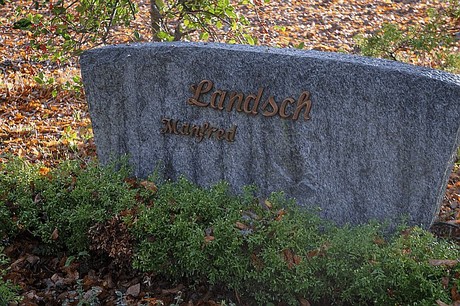 Merzenich
