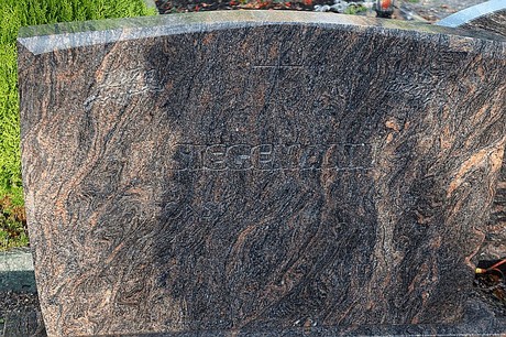 Merzenich