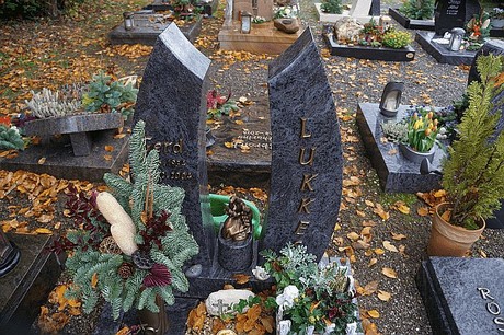 Merzenich