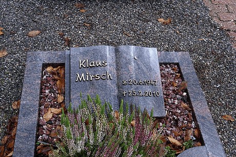 Merzenich