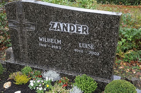 Merzenich