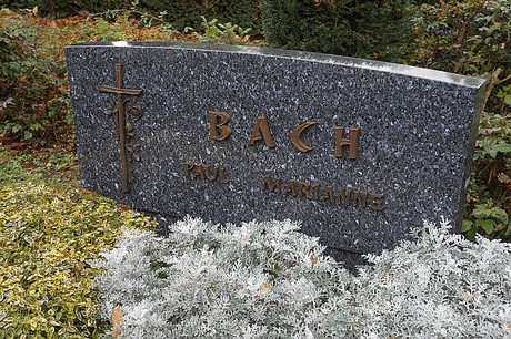Merzenich