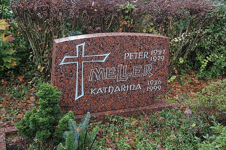 Merzenich