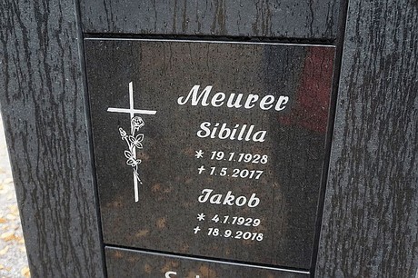 Merzenich