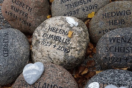 Merzenich
