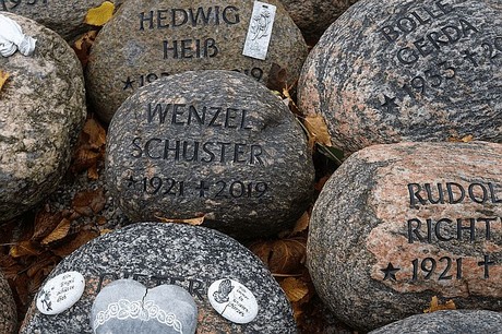 Merzenich