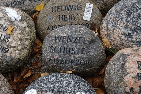 Merzenich