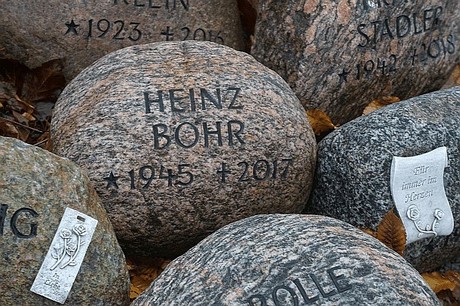 Merzenich