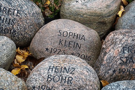 Merzenich