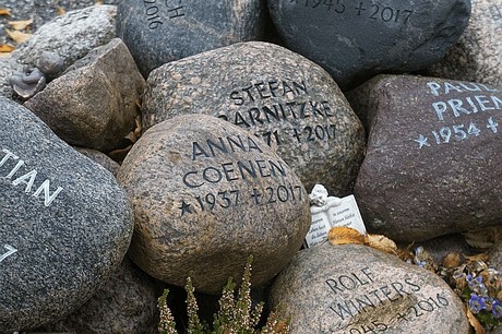Merzenich
