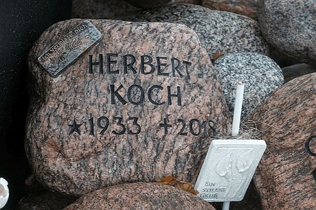 Merzenich