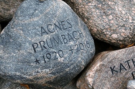 Merzenich