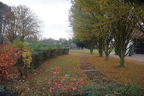 Merzenich