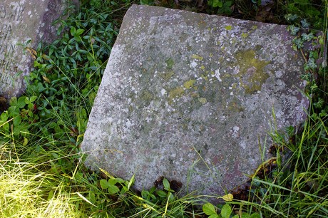 Metternich