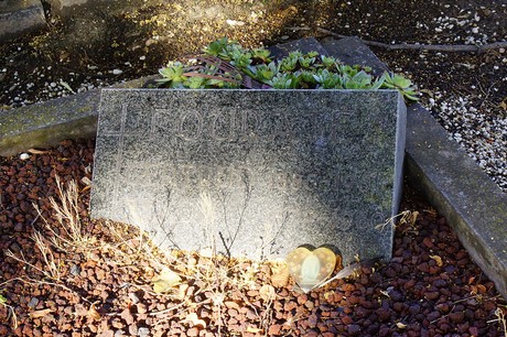 Metternich