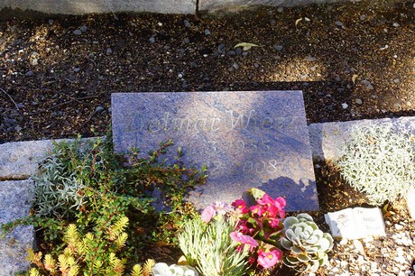 Metternich