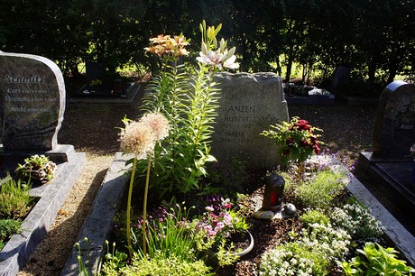 Metternich