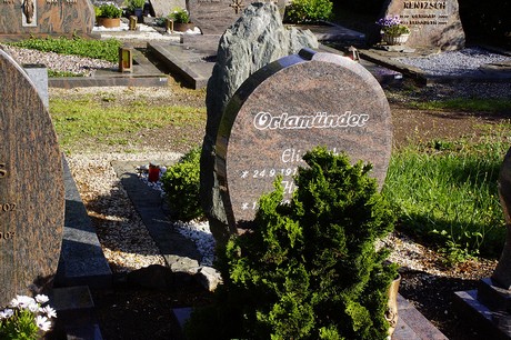 Metternich