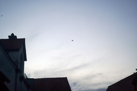 Michelstadt
