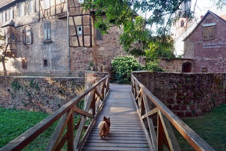 Michelstadt