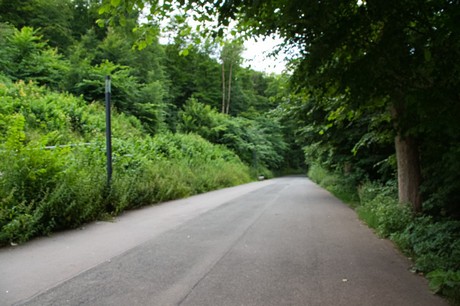 Minden