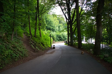 Minden
