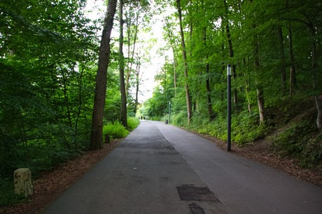 Minden