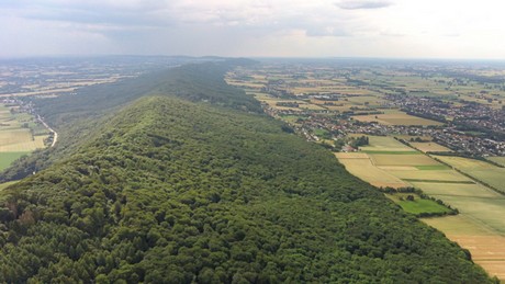 Minden