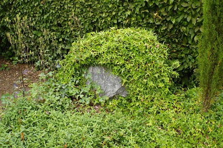 Morenhoven