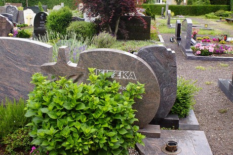 Morenhoven